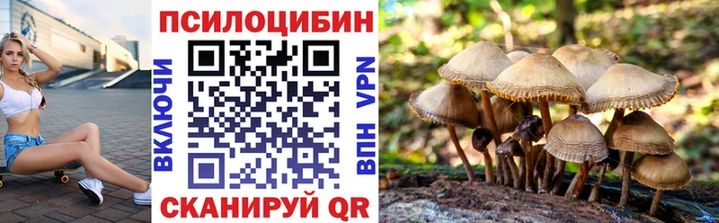 Псилоцибиновые грибы Magic Shrooms  купить наркотик  Приморско-Ахтарск 